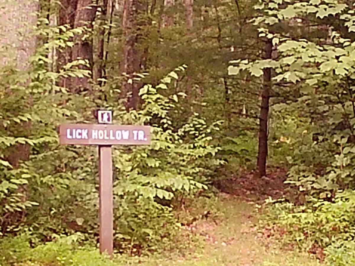Lick Hollow Road photo 5