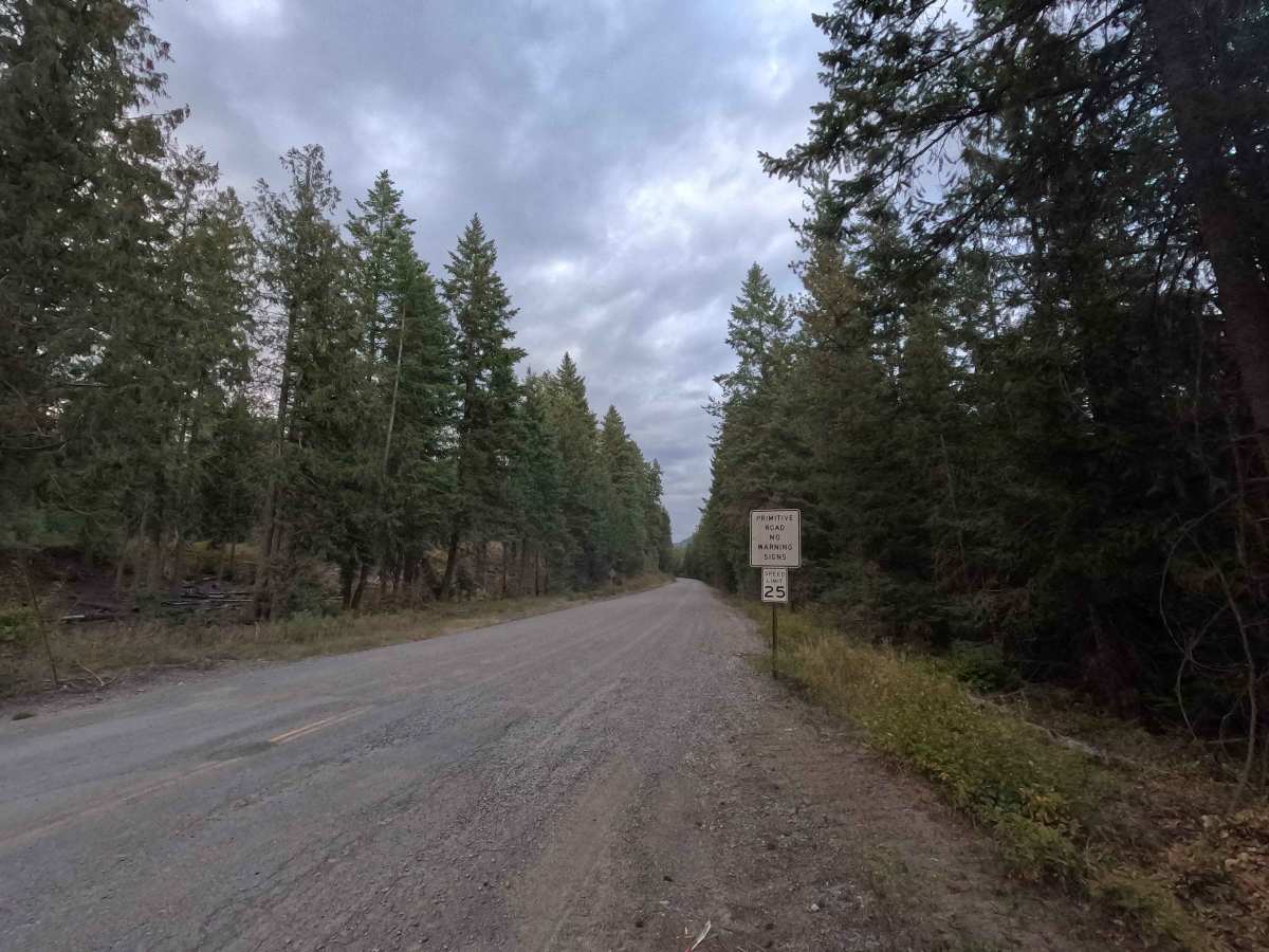 Kings Lake Road - FS 50 trail photo