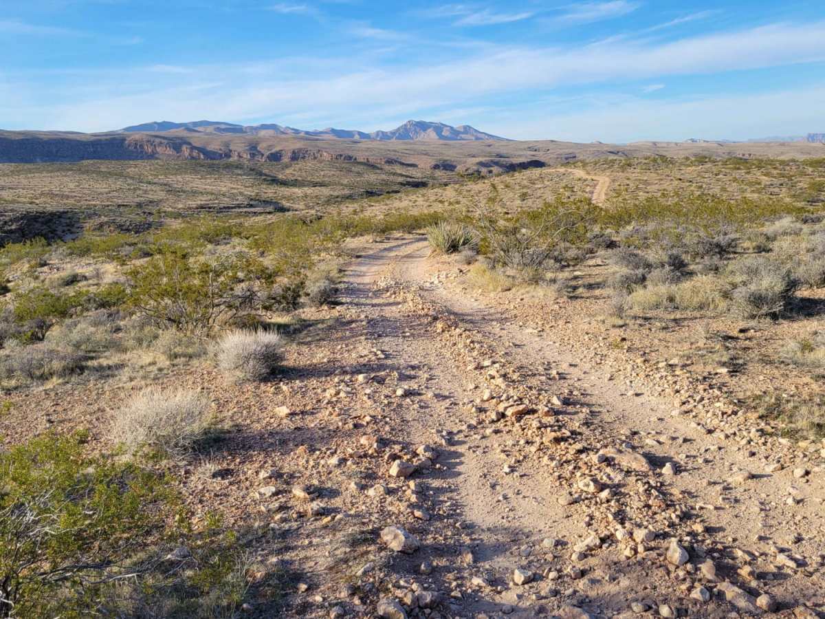 Starvation Point photo 3
