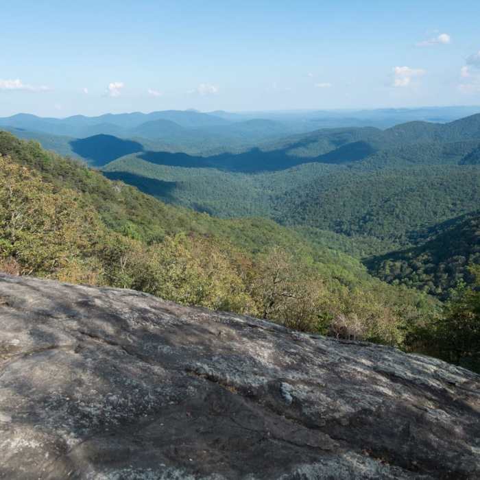 Near The Georgia Loop
