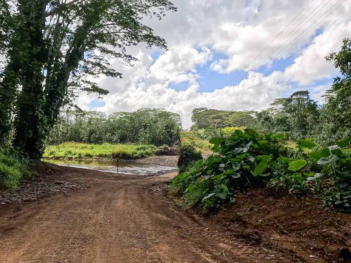 Jurassic Park Gate Trail photo 3