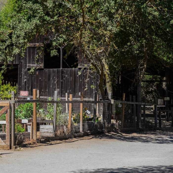 Near Rogue Valley + Wildcat Loop