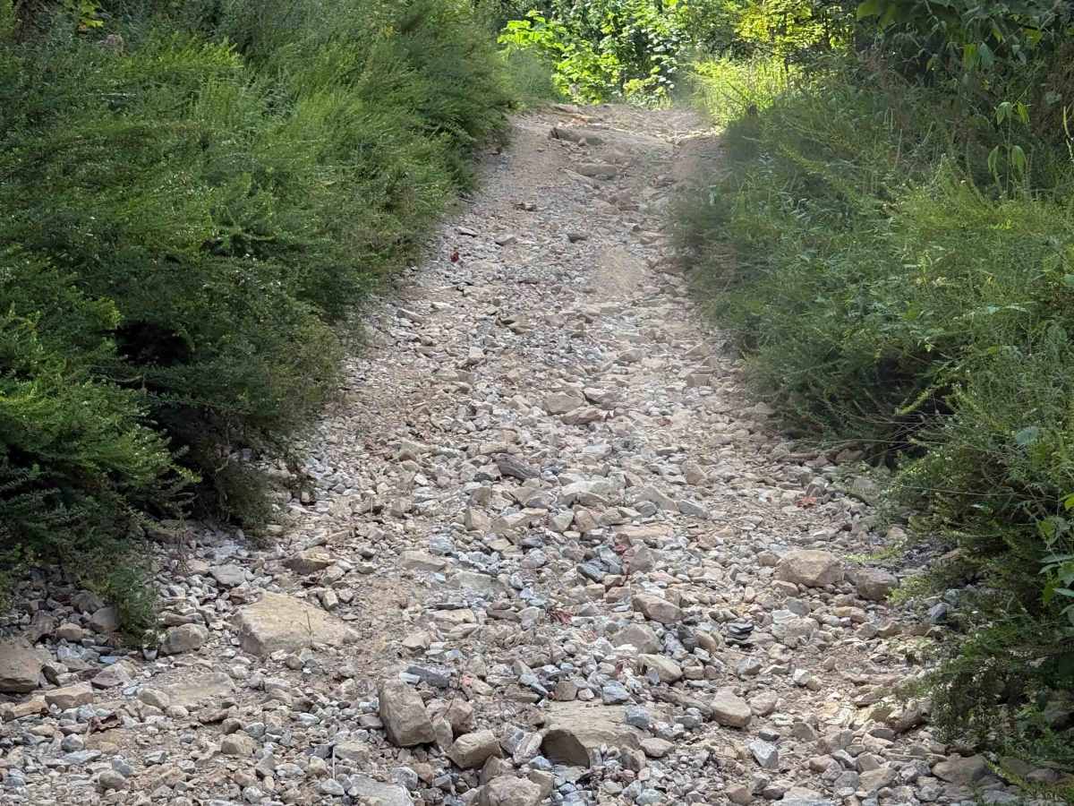Shack Creek Connector   photo 5