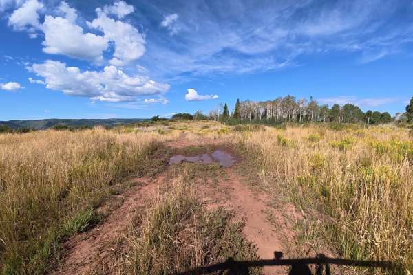 Big Ridge Road - FS 243
