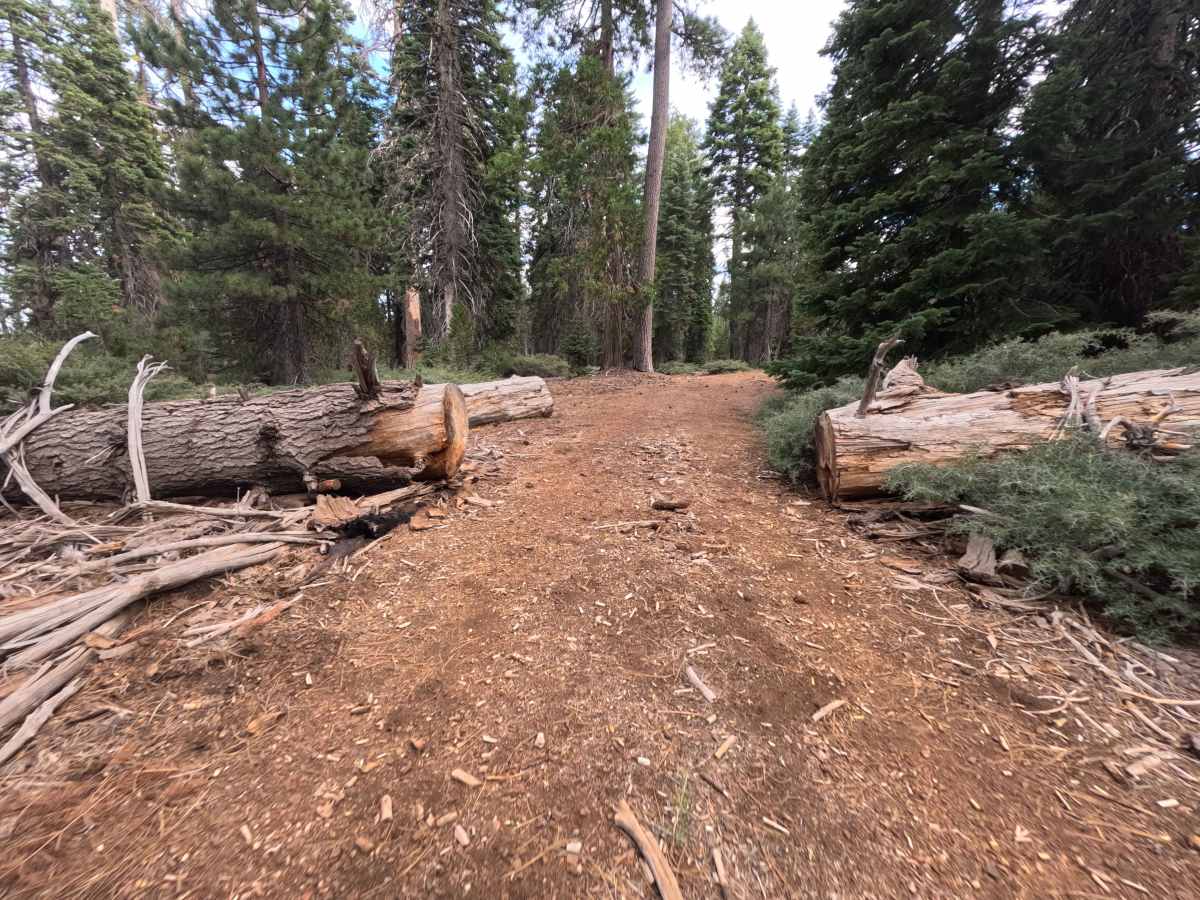 Goat ORV - FS 20N42 trail photo