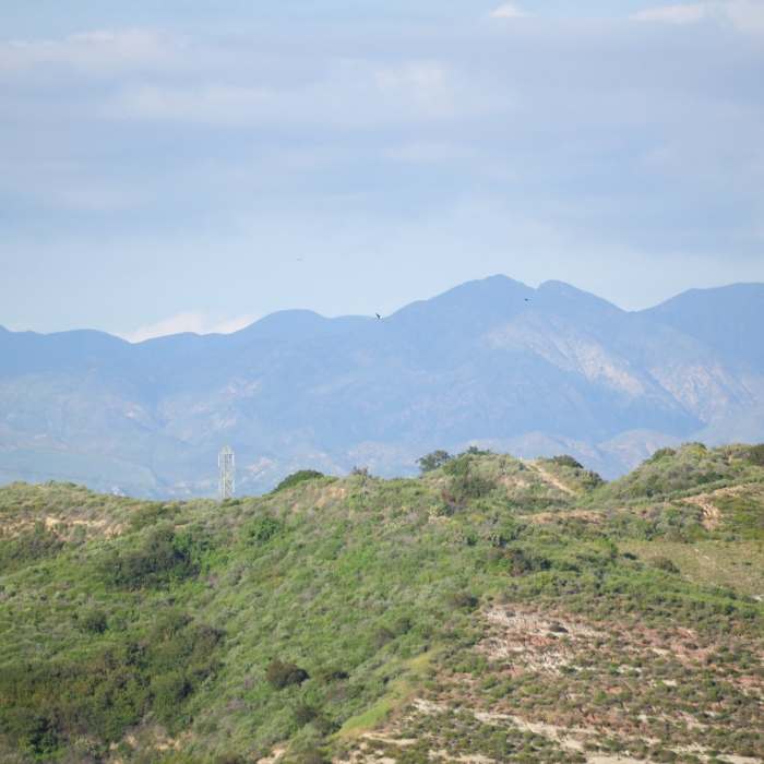 Near Laurel Canyon Loop