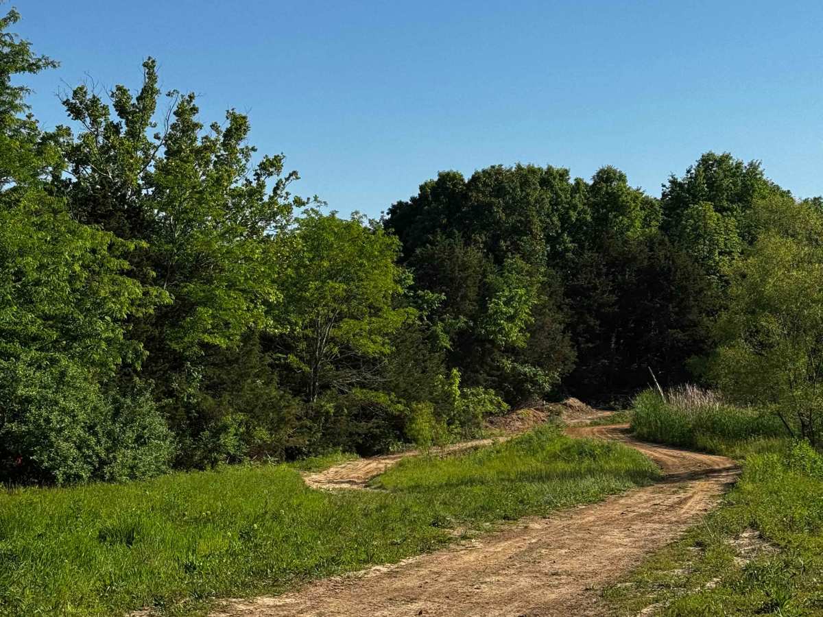 Eastern Track  trail photo