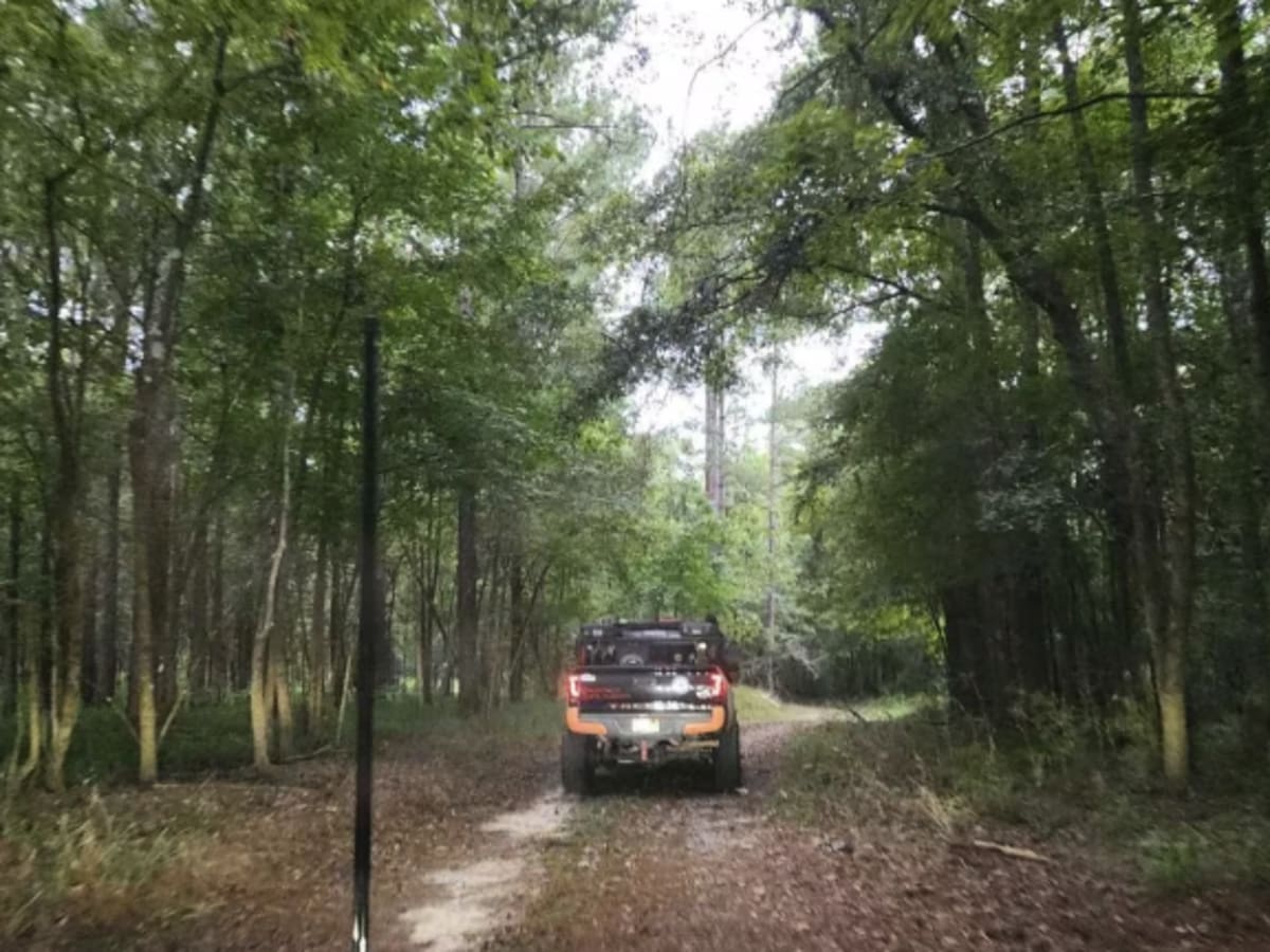 Bullard Altamaha River Loop photo 6
