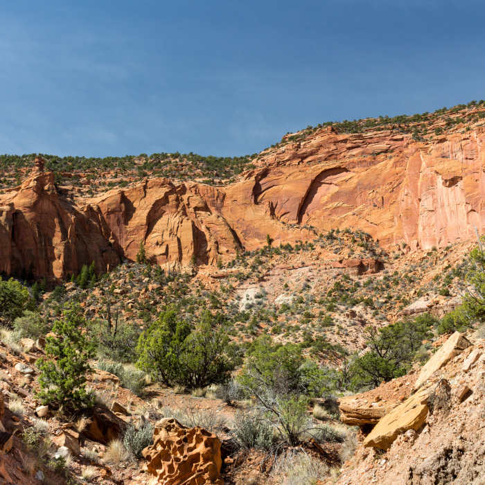 Near Red Canyon