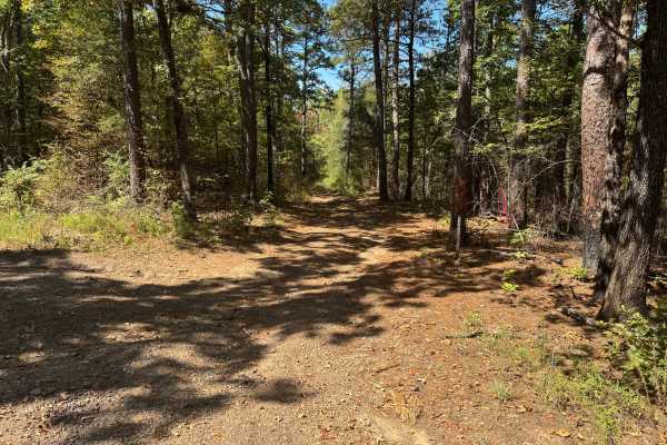 McReynolds Cemetery Road