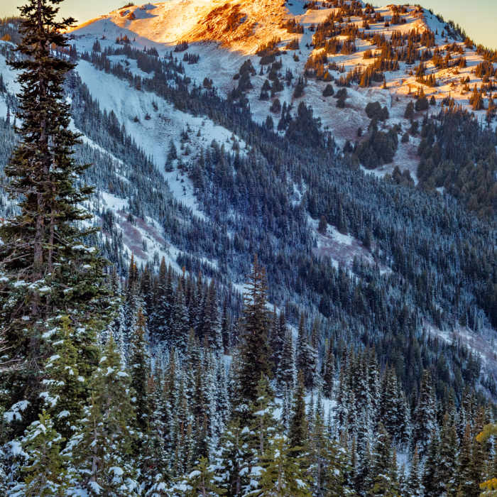 Near Cirque Rim Trail