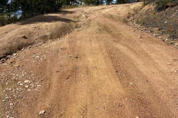 Arroyo Hondo Forest Service 79