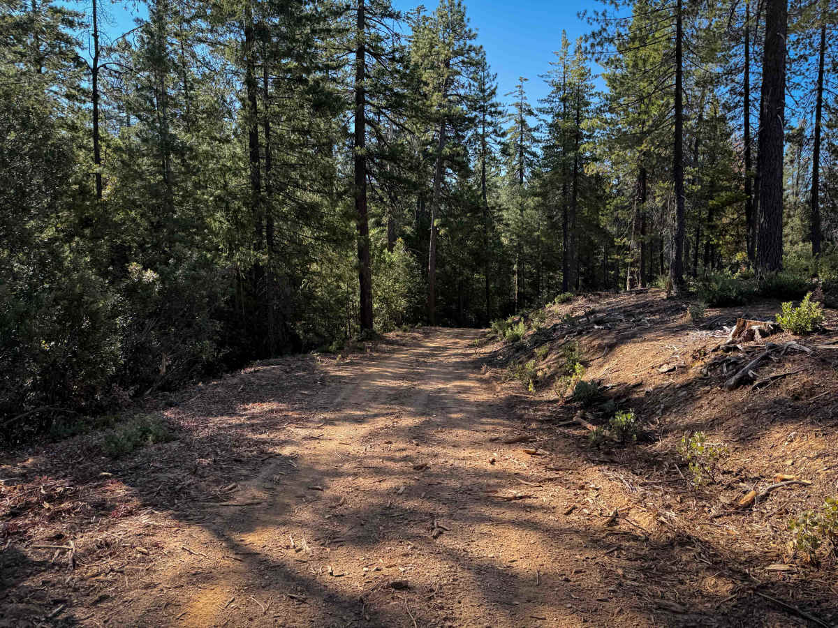 Trail 4-3 (11E34)  photo 3
