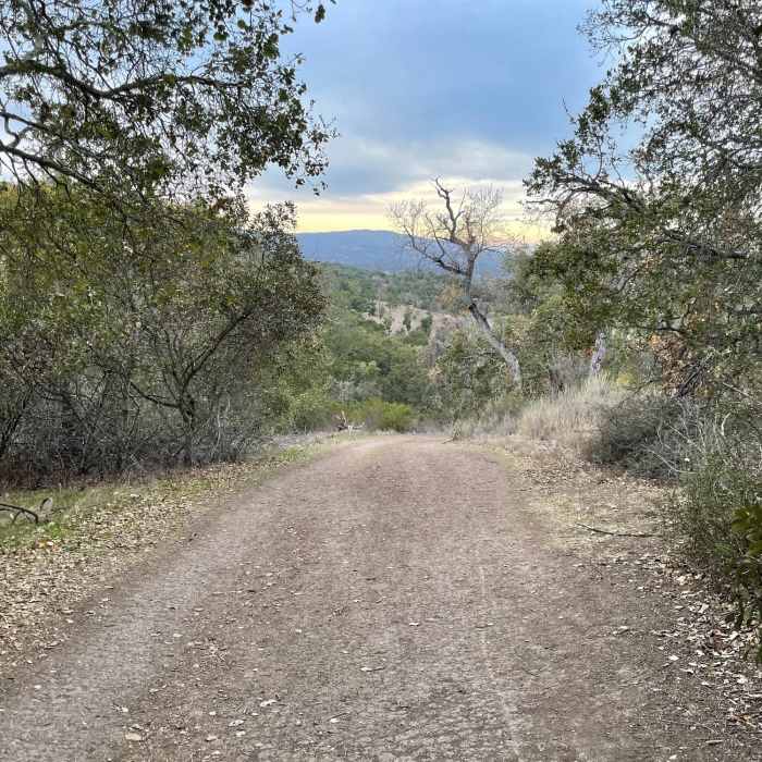 Near Valley View Trail