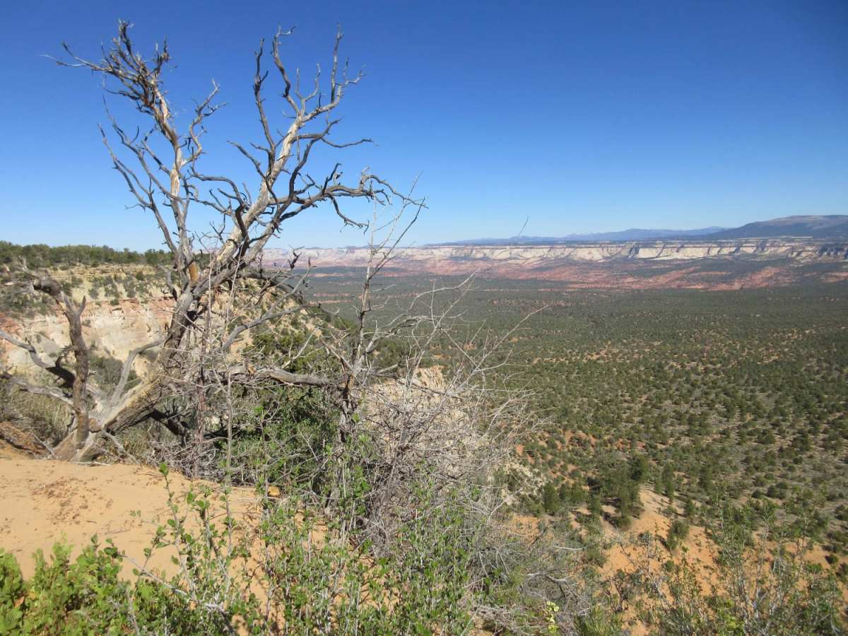 Black Mesa-Red Knoll Loop photo 5