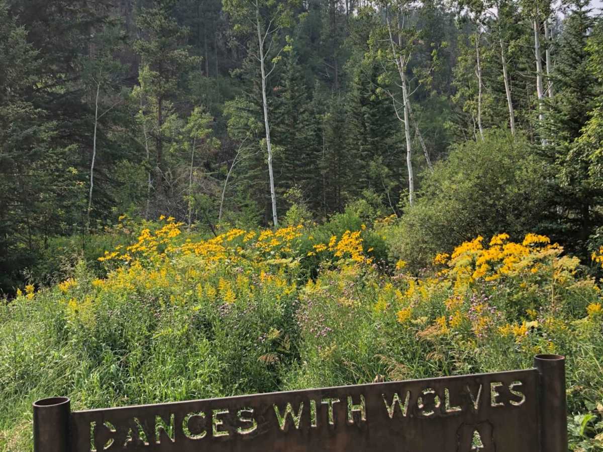 Cement Ridge Fire Lookout photo 5