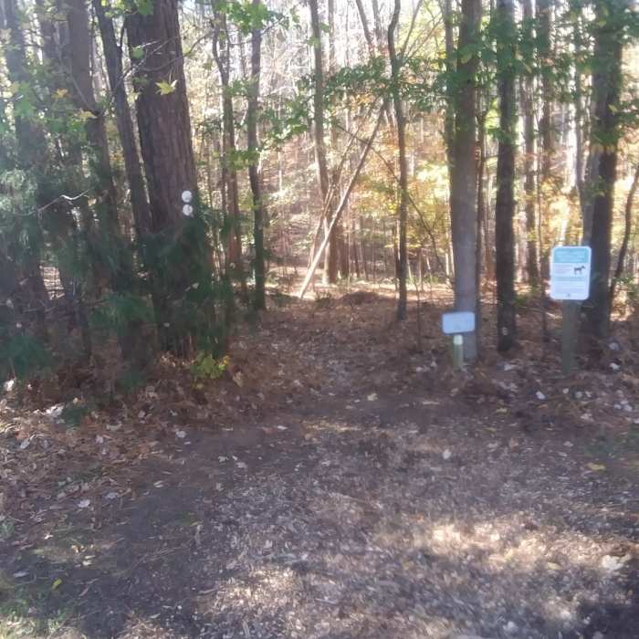 Near Falls Lake Trail: Section 6