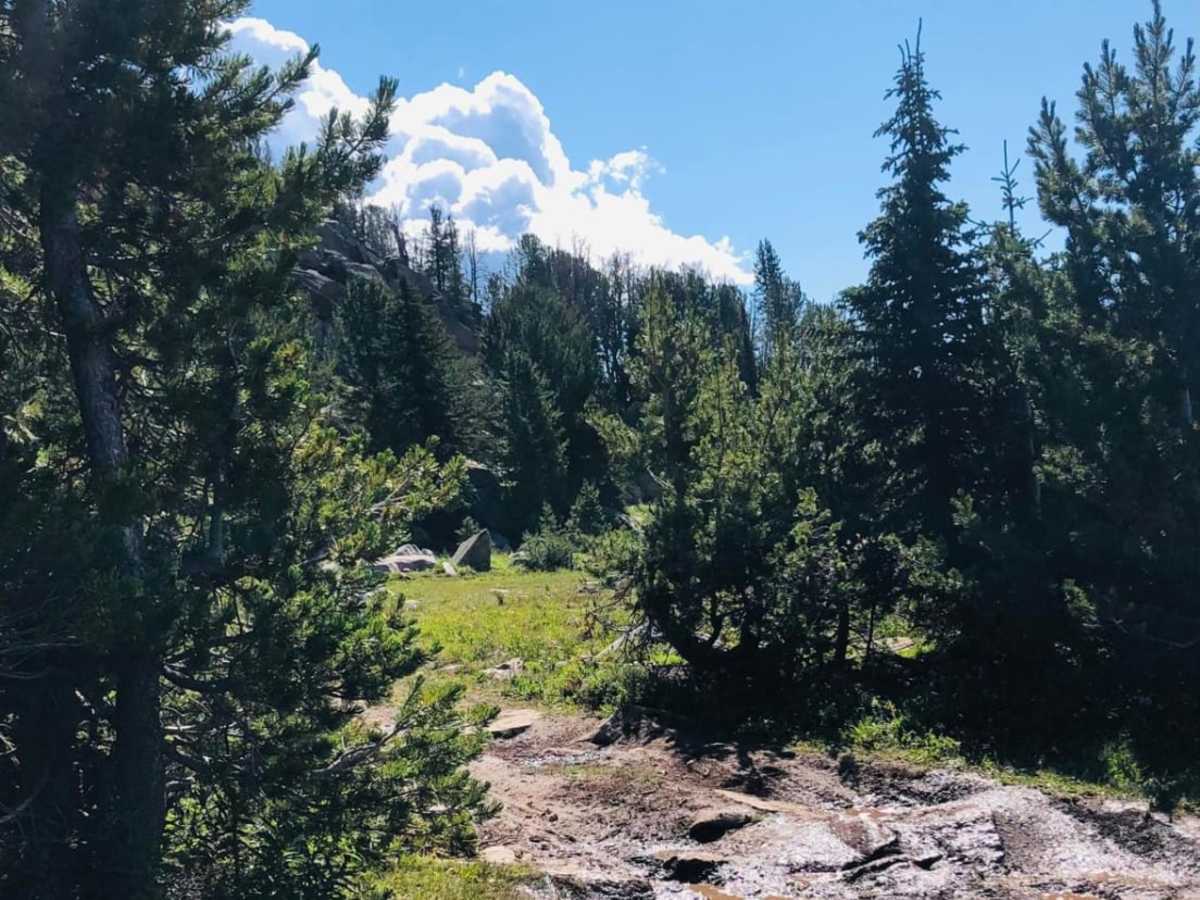 Fantan Lake Road photo 5