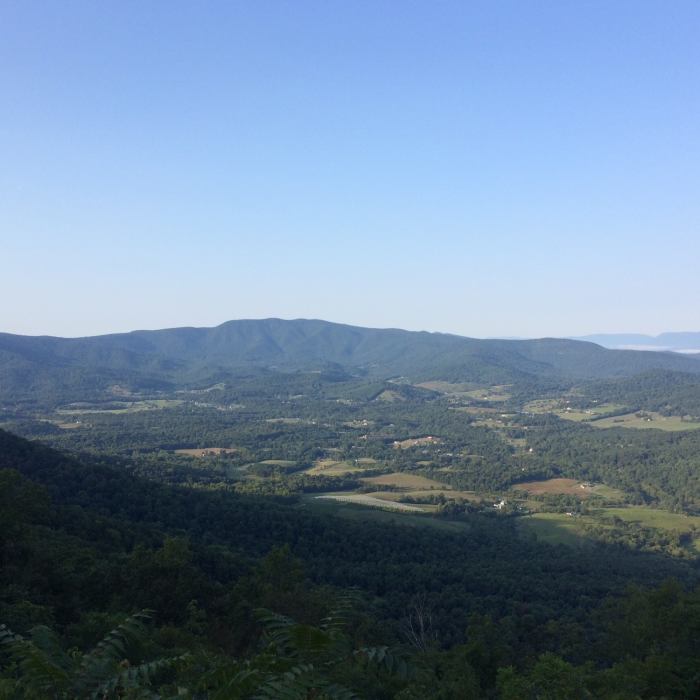 Near Dickey Ridge Loop