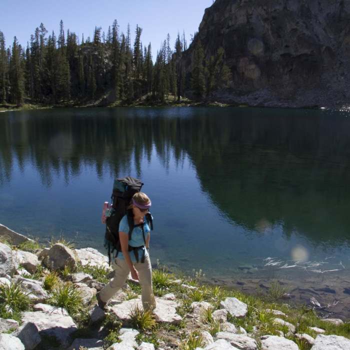 Near Alpine Creek Canyon