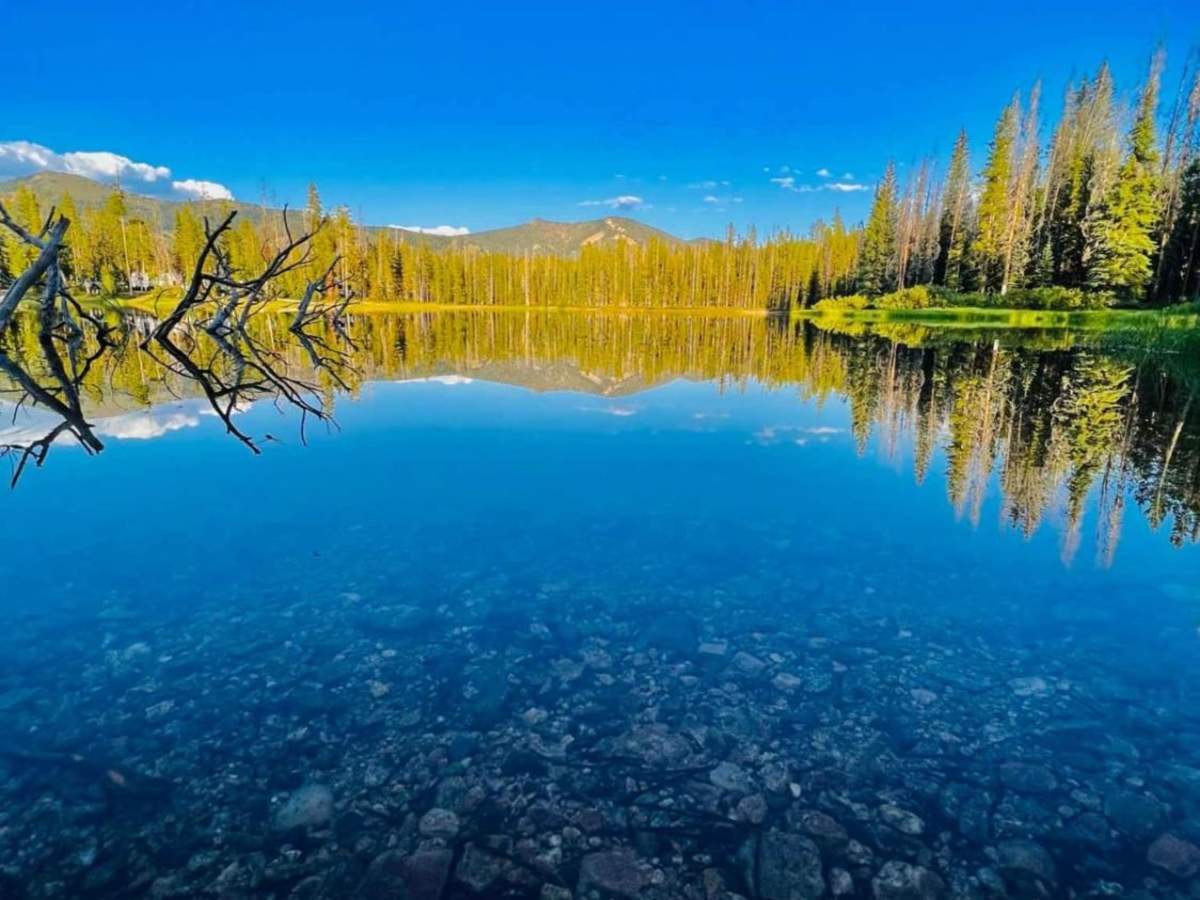 Bull Trout Lake trail photo