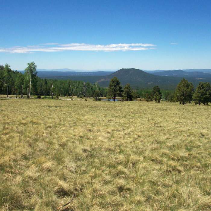 Near High Country Tour to Bismark Lake