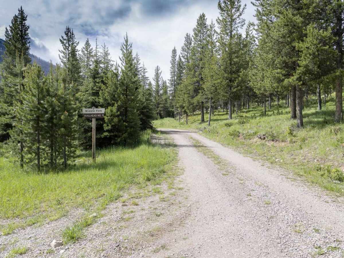 Moose Lake Road photo 2