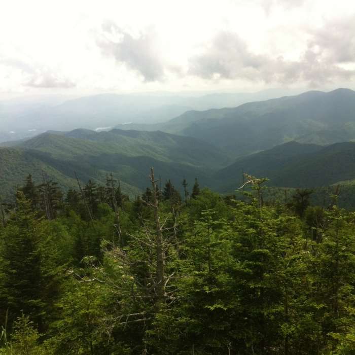 Kuwohi (fka Clingmans Dome) Hiking Trail | Map, Difficulty