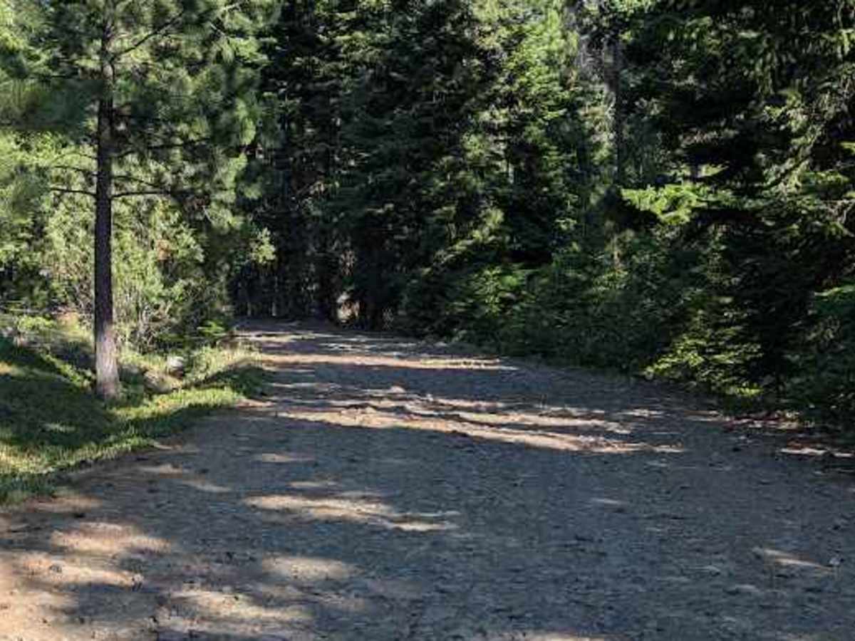 Wilson Creek Road - FS 3517 photo 6