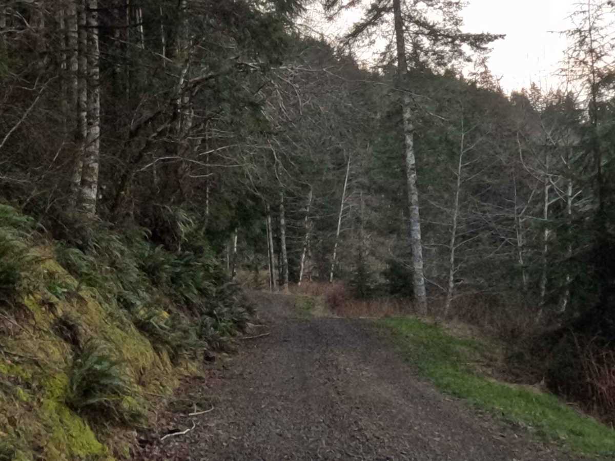 Simmons Ridge Road photo 3