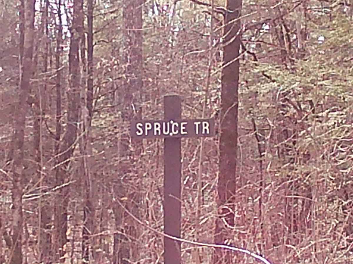 Fourth Gap Road photo 4