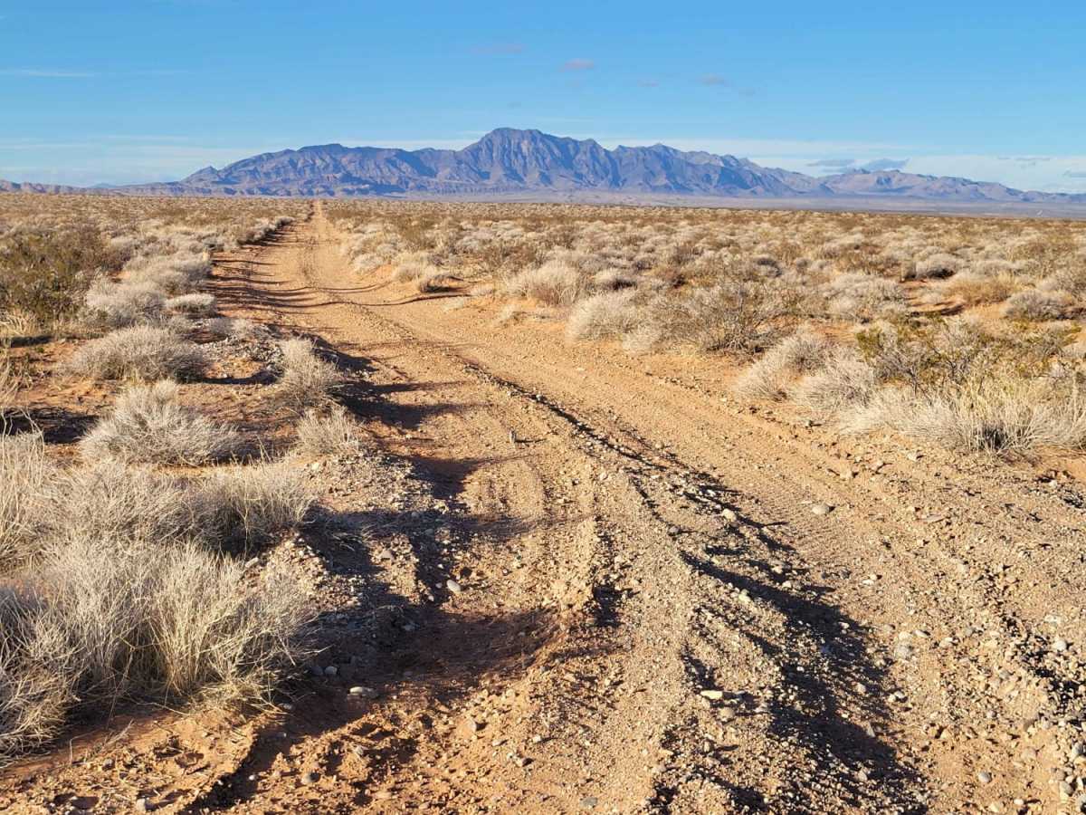Mesa Straightaway trail photo