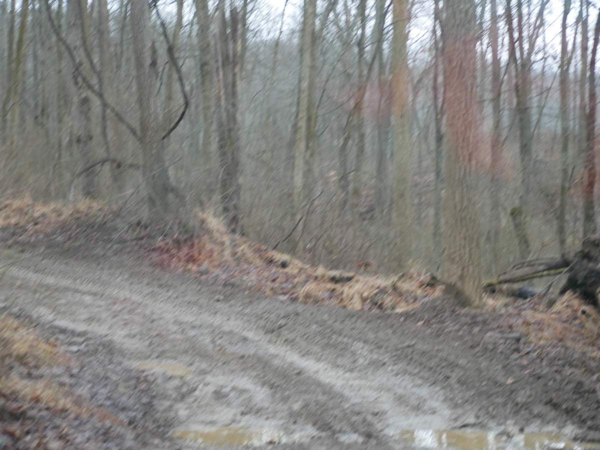 Trail 49 photo 2
