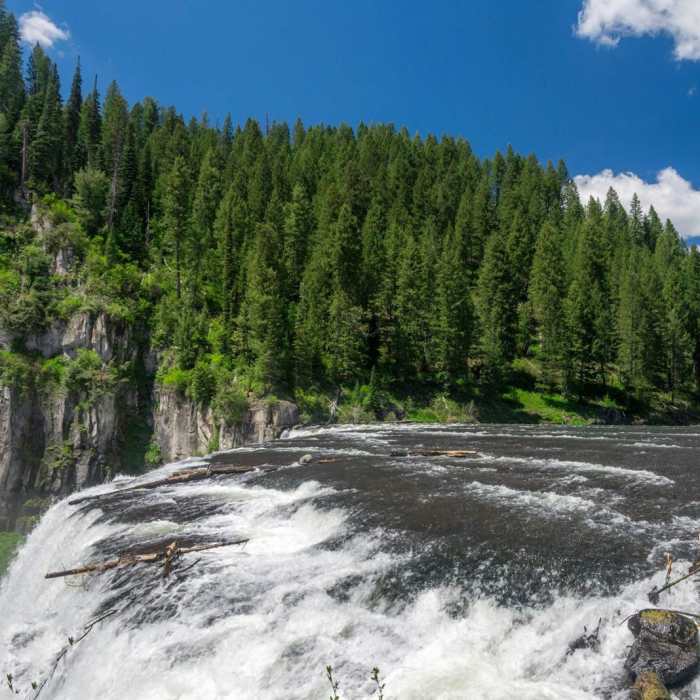 Near Mesa Falls Near Mesa Falls