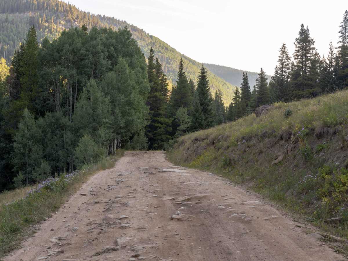 Shrine Pass photo 6