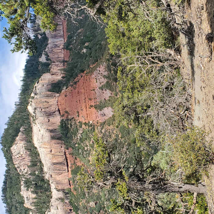 Near South Meadow
