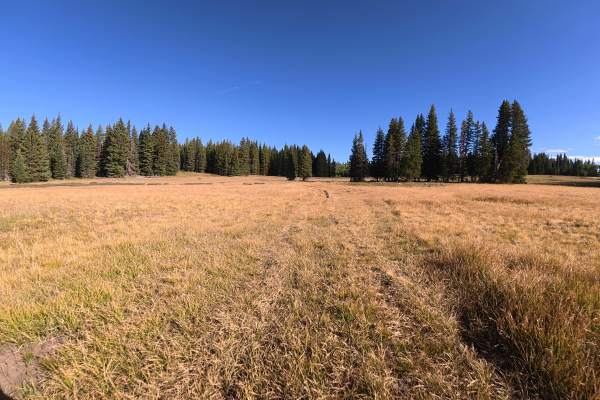 Burrow Mountain Road - FS 246