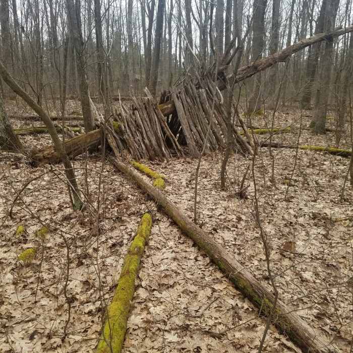 Near Black Moshannon State Park Loop