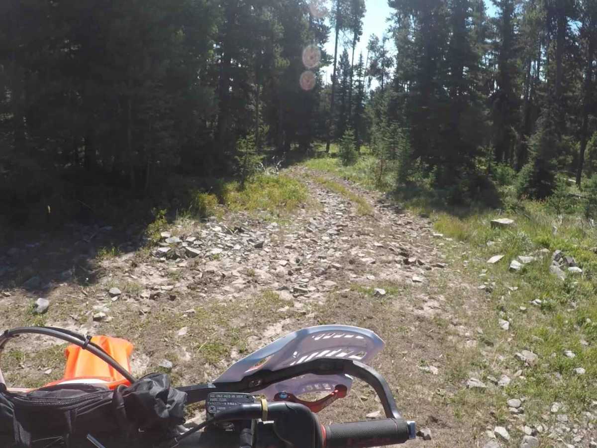 FS 313 North trail photo