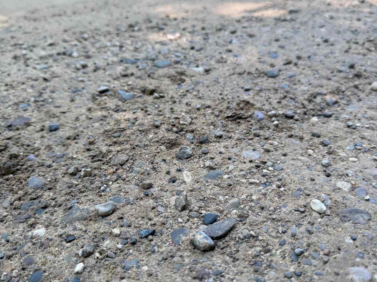 Green Trail photo 5