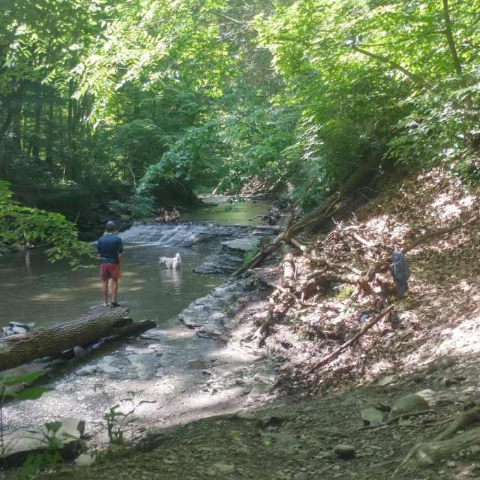 Near Grimes Glen Park Near Grimes Glen Park