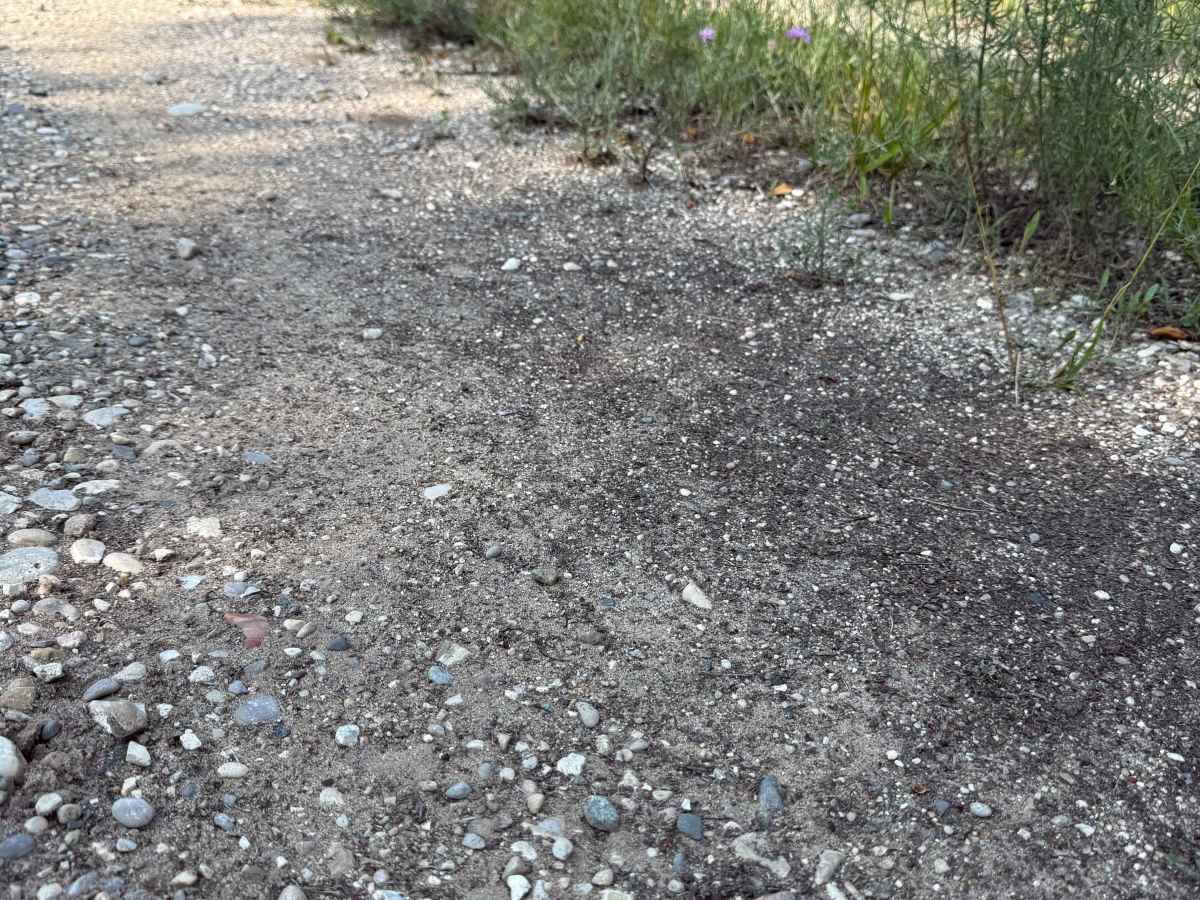 East Bear Creek Trail photo 2