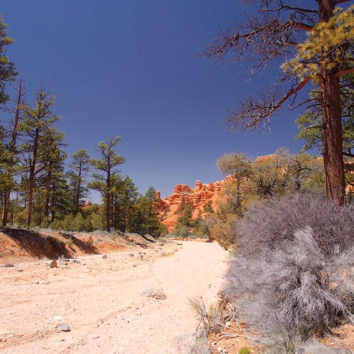 Near Golden Wall Loop