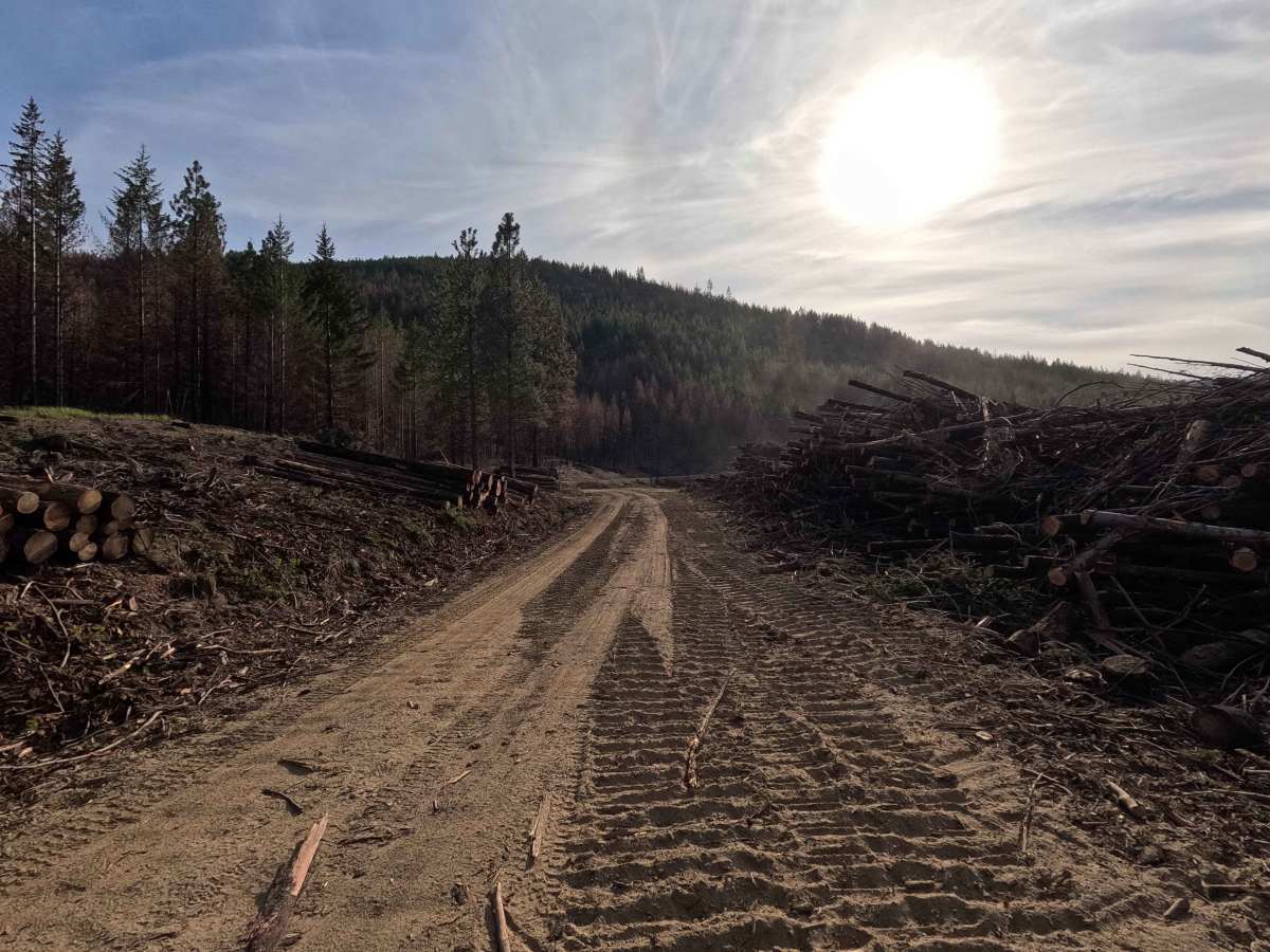 Tillicum Road - FS 58 photo 4