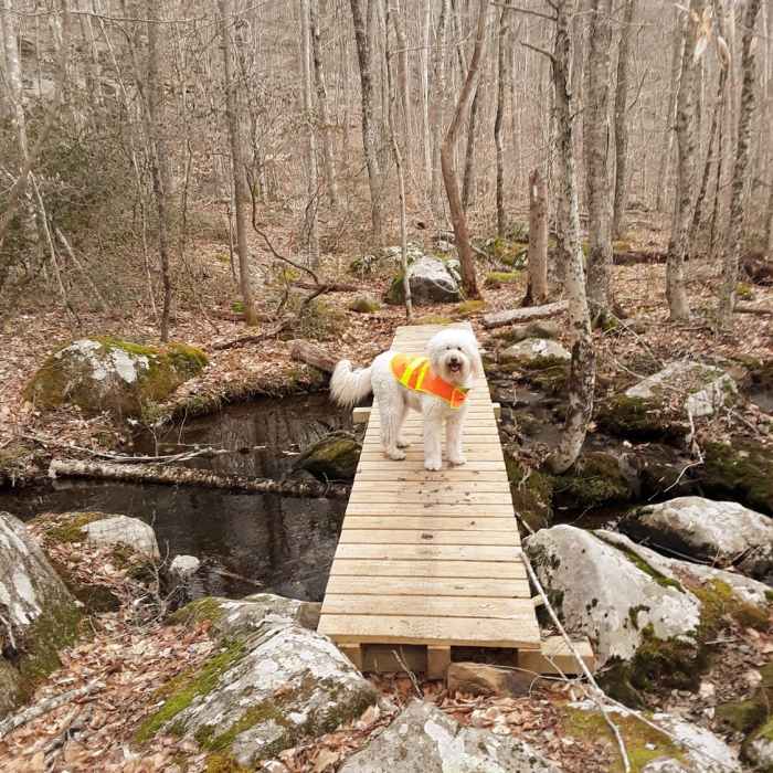 Jack poses for a photo. Near Escoheag Trail Loop