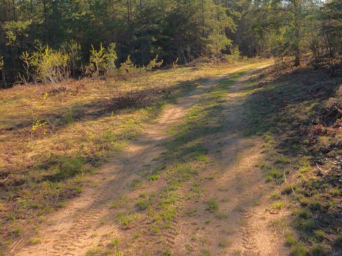 West Harvey Road photo 6