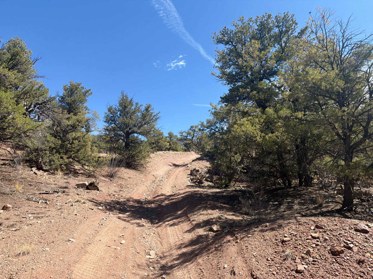 BLM 5965B photo 4