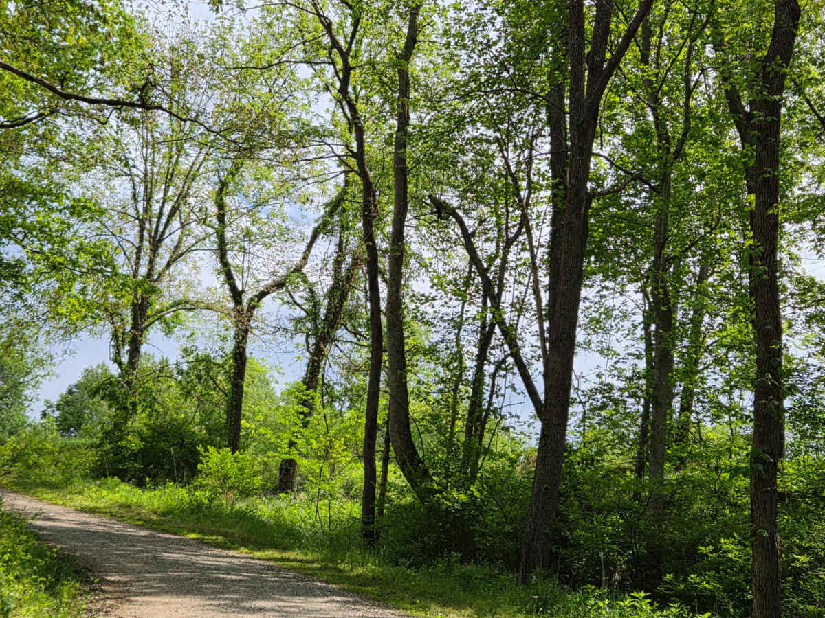 Pierson Road photo 2