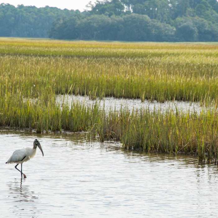 Near White Point Beach Hike