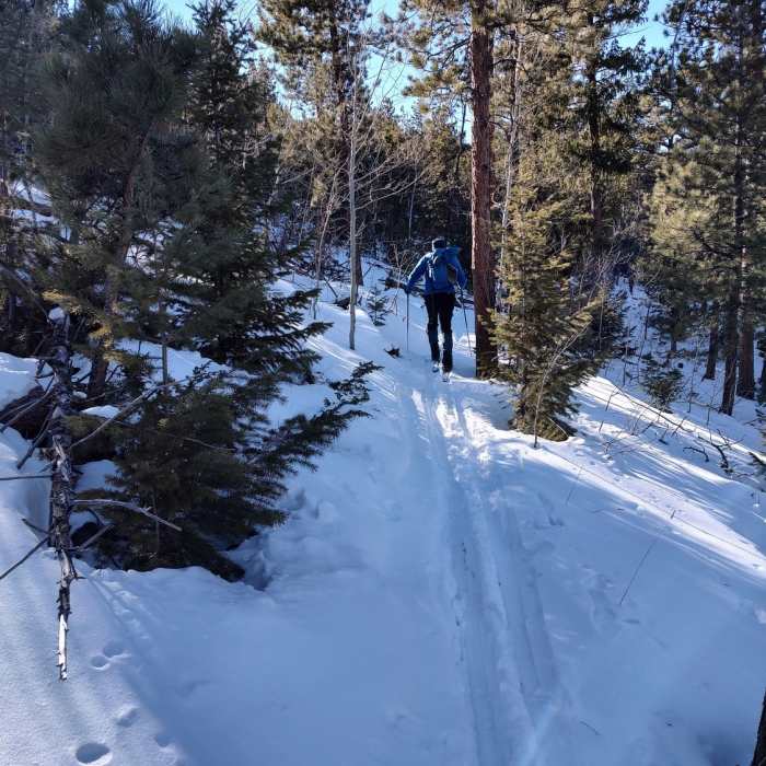 Near Elkhorn Trailhead Loop